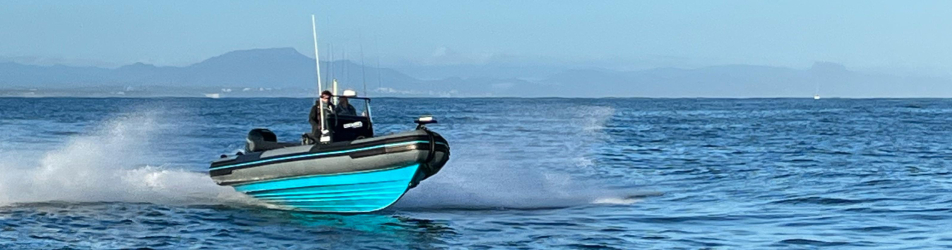 peche en mer thon